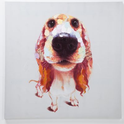 Contemporary-Heaven-DECORATIVE-UNIQUE-NOVEL-WALL-ART-Spaniel-Dog-Hand-Painted-Oil-Painting-100cm-4232Kare-Spanial-dog-Picture400.jpg
